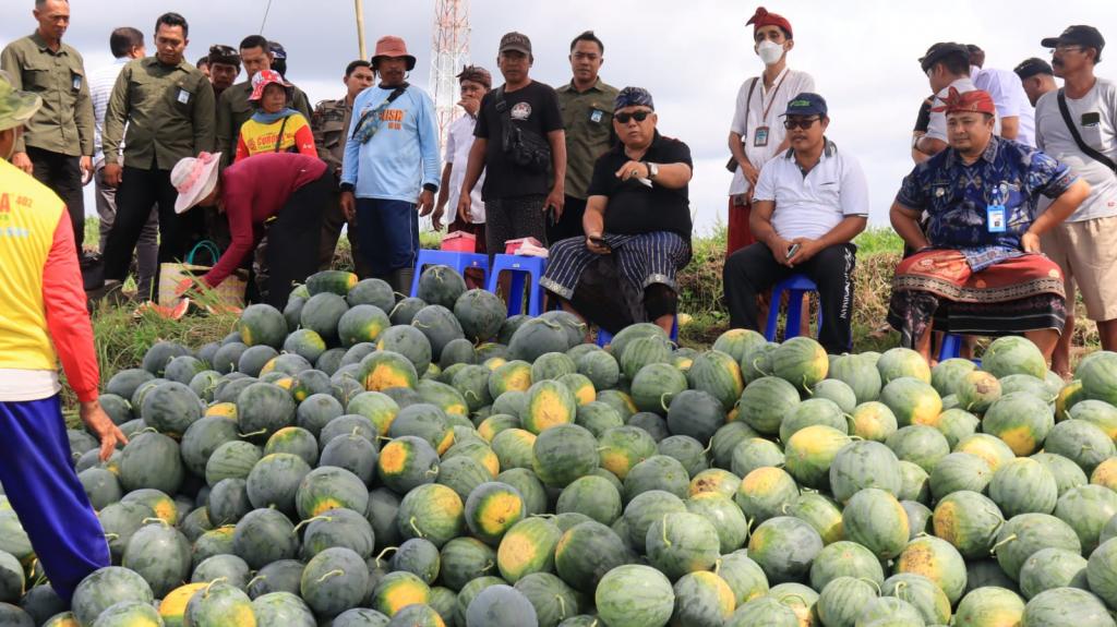 “Viral! Petani di Blitar Tanam Semangka dengan QR Code, Pembeli Bisa Scan & Lihat Riwayat Tanam”